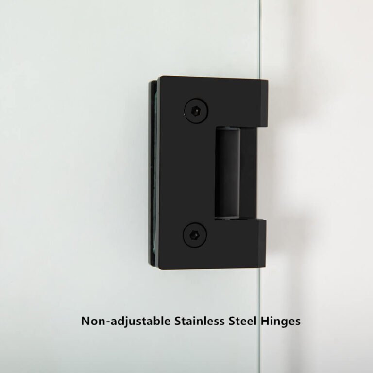 Frameless shower doors non-adjustable apisglass (3)
