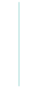  07 2 131x300.png
